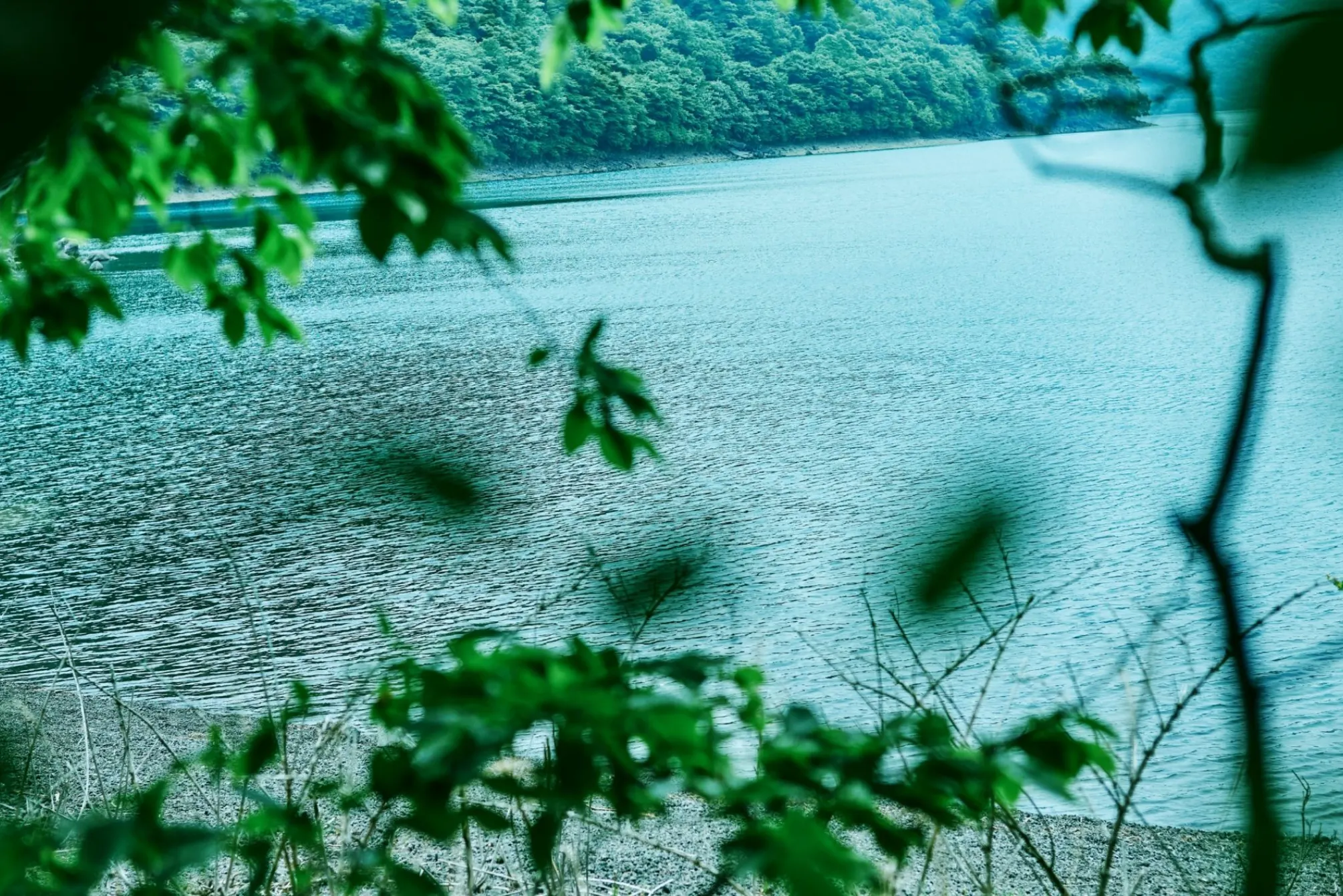 Mountain Flagship EC